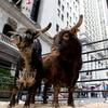 bulls, wall street, stock exchange